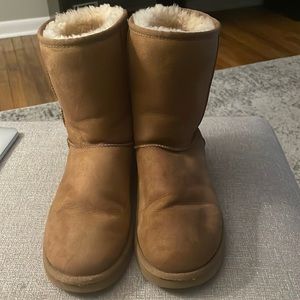 Chestnut Classic Short UGG Boot